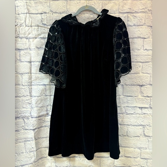 NWT, Lace Sleeve, High Neck, Velvet Dress By Umgree - Picture 1 of 3